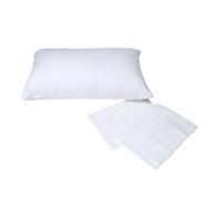 Pillow Allergy Free 2x Pack