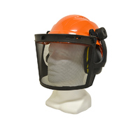Maxisafe Forestry Kit Orange Helmet with Mesh Visor & Muffs Ratchet Harness