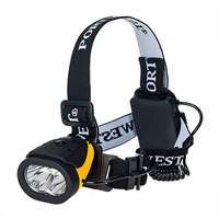Dual Power Headlight Yellow/Black Regular