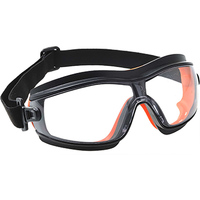 Slim Safety Goggle Clear Regular