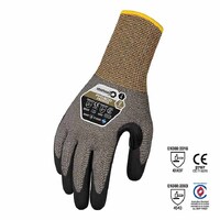 Graphex Premier Cut 5/Level F Glove 12 Pack